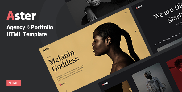 Aster – Creative Agency Portfolio HTML5 Template